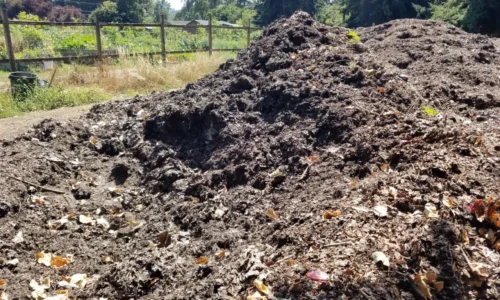 Composting 101